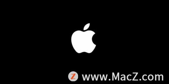 ipad无法开机白苹果游戏截图