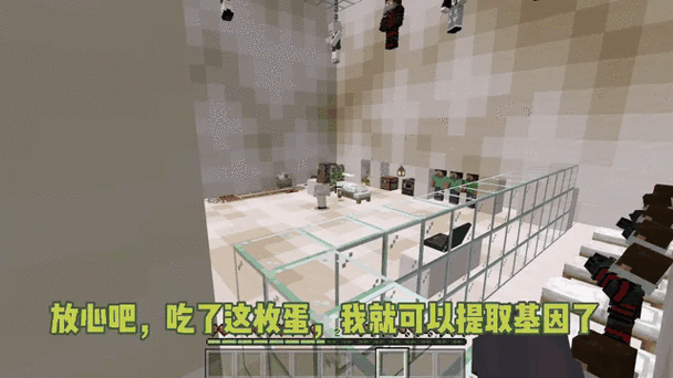 我的世界姐姐变成一个鸡蛋会怎么样