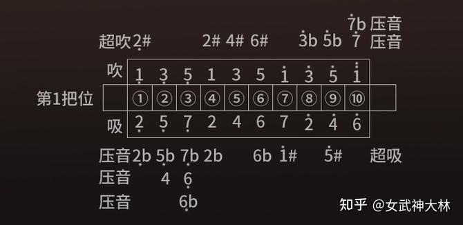 口琴半音阶好还是布鲁斯缩略图