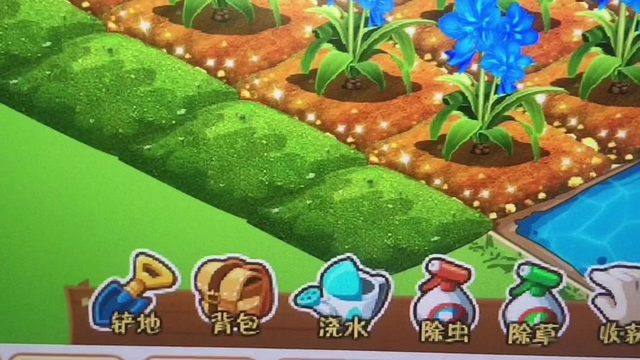 qq农场魔法池怎么增加守护者图标