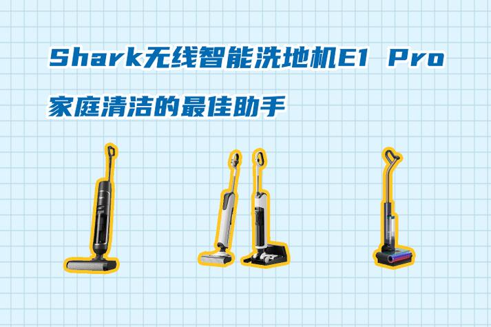鲨鱼如何清洗才干净