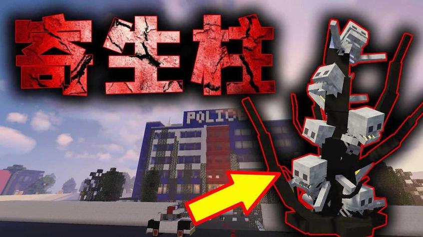mc畸变实验模组