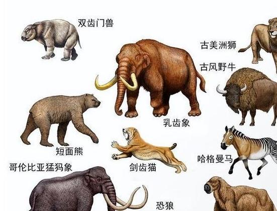 已经灭绝了的颜色游戏截图