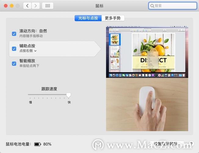 苹果鼠标上下滑动调整缩略图