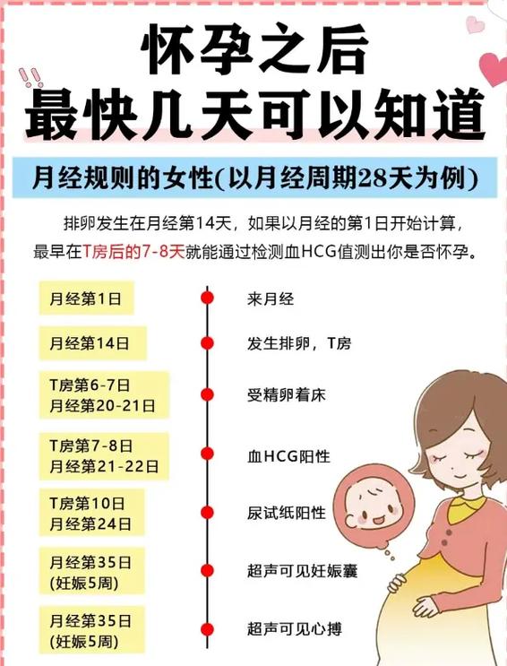 同房完尿出来会怀孕吗图标