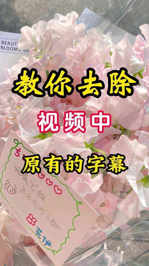 为啥我的剪映歌词识别不出来图标