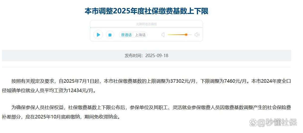 上海四金缴费标准2025游戏截图