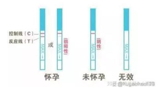 怎么确认自己有没有怀孕缩略图