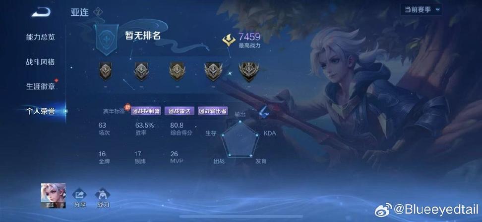 王者荣耀自己战绩双排可以不显示吗缩略图