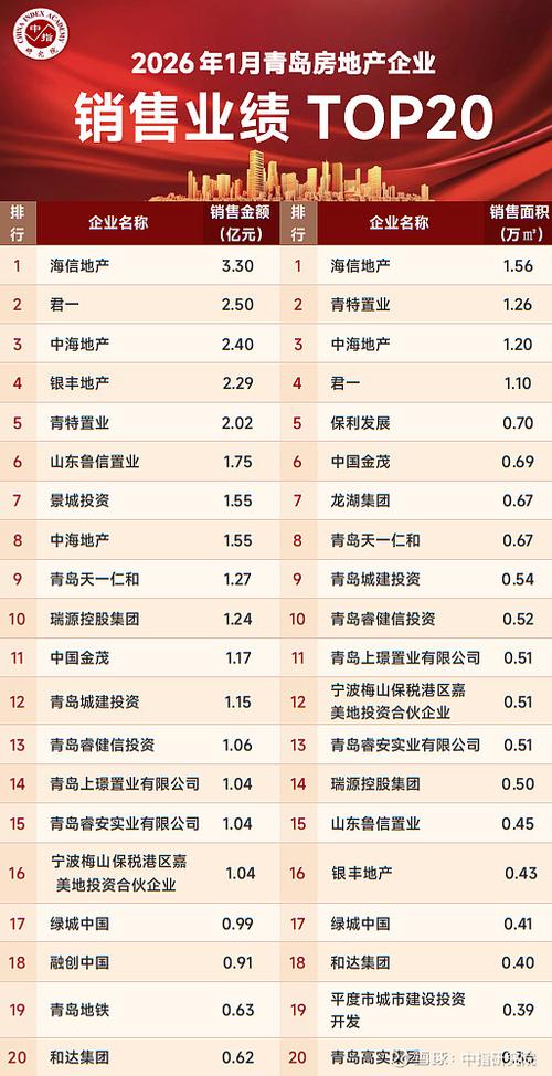 房地产前二十强企业截图