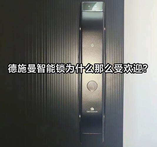 德施曼智能锁怎么绑定手机缩略图