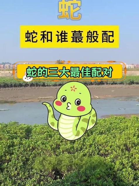 2001年的蛇婚姻如何