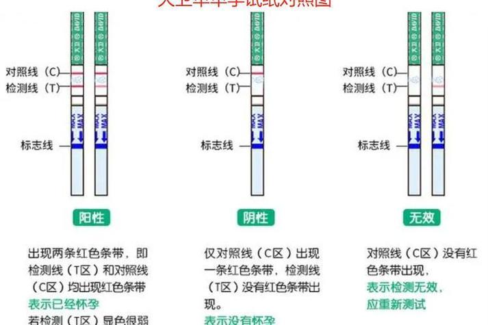 怎样确定自己怀孕没游戏截图