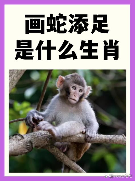 贴在墙上的生肖正确答案图标