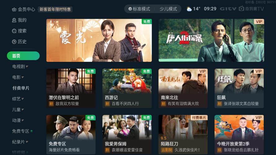 爱奇艺能在电视上看吗