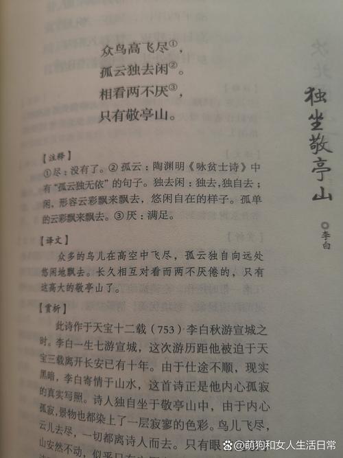 独坐敬亭山阅读理解及答案图标