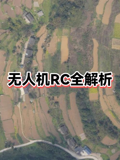 无人机信号RC一般几天恢复游戏截图