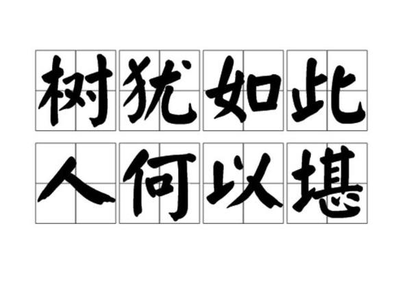 人何以堪什么意思