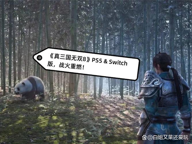 ps5真三国无双8进不了游戏图标