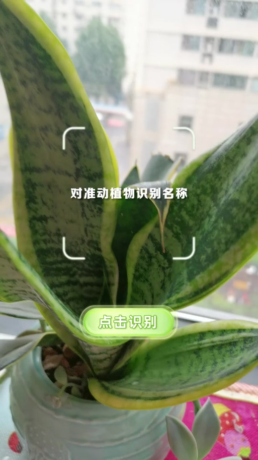 如何用微信扫一扫识别植物缩略图