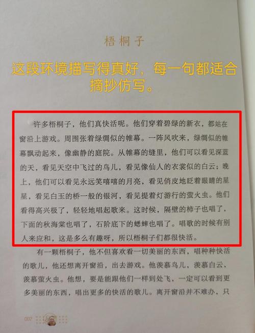 梧桐子阅读答案
