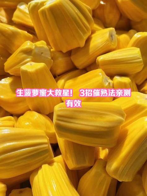 红肉菠萝蜜有点脆是不是不熟