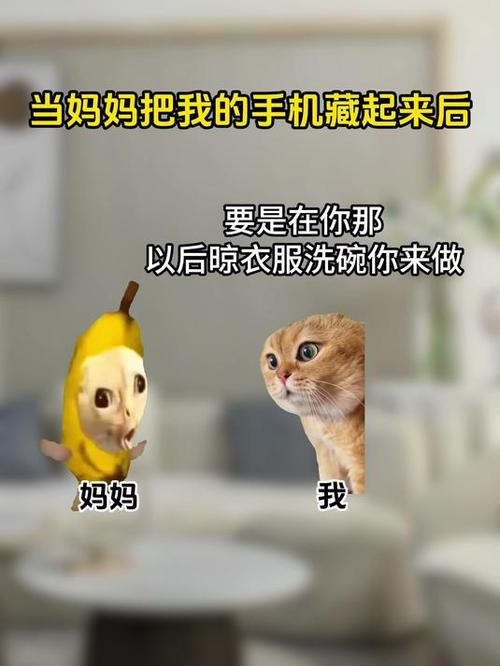 爸妈藏手机一般藏哪了图标