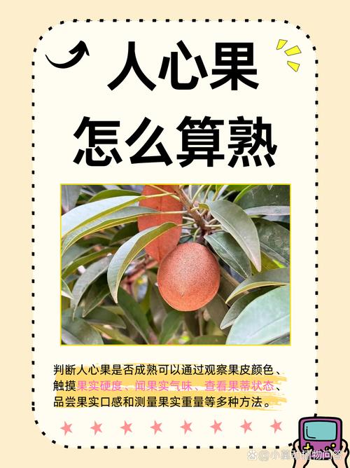 菠萝蜜外皮软了是不是就可以吃了