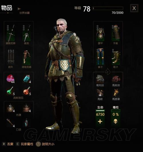 巫师3二周目开局用师匠图标