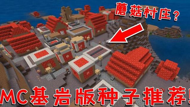 我的世界基岩版1.14村庄种子图标