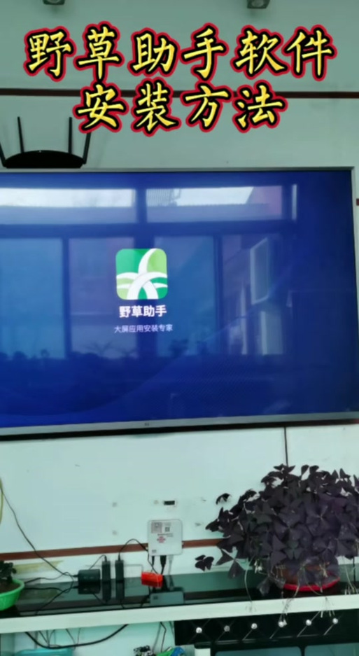 夏普电视官网中国官方网站图标