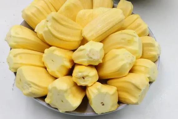 菠萝蜜一半熟了一半没熟可以开吗