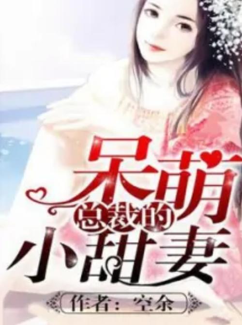 总裁的呆萌小甜妻 小说缩略图