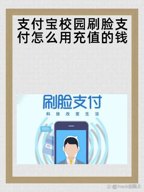 支付宝刷脸支付显示对比源不清晰