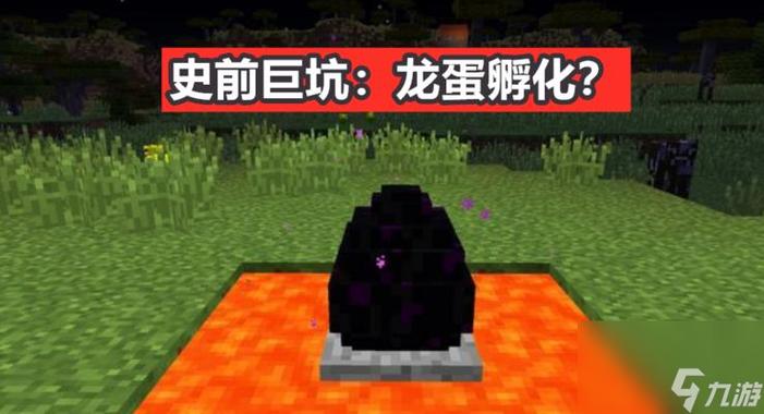 龙蛋孵化需要什么条件