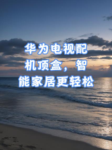 华为ec6110机顶盒如何装软件
