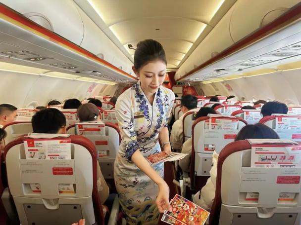 新海航首都航空值机图标