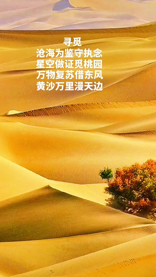 寻觅的意思是寻找吗缩略图
