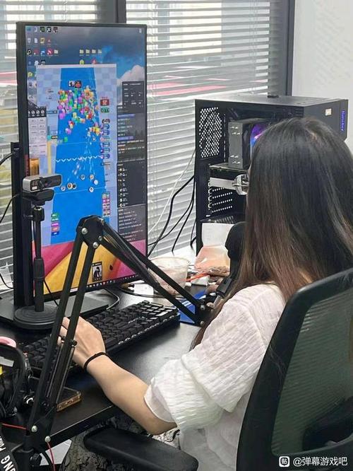 怎么看b站自己发过的弹幕图标