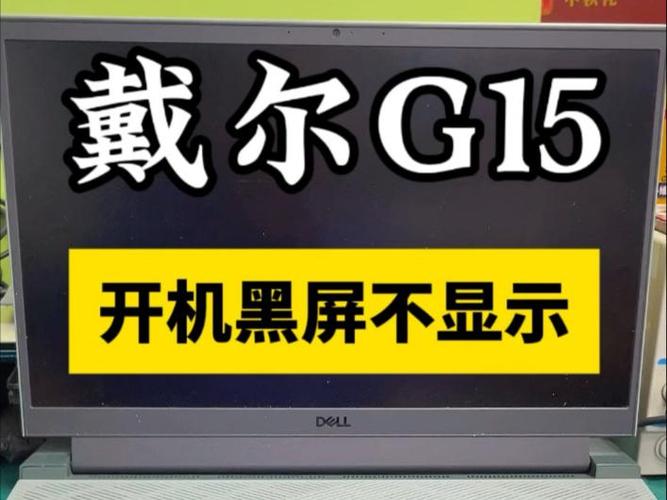 戴尔电脑键盘亮屏幕不亮图标