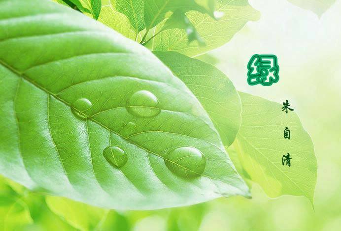 朱自清绿的阅读答案