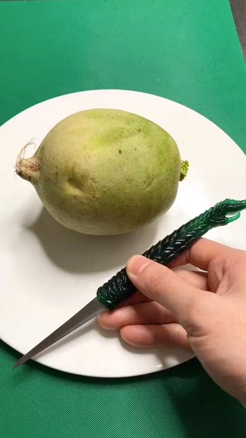 萝卜是植物的什么部位