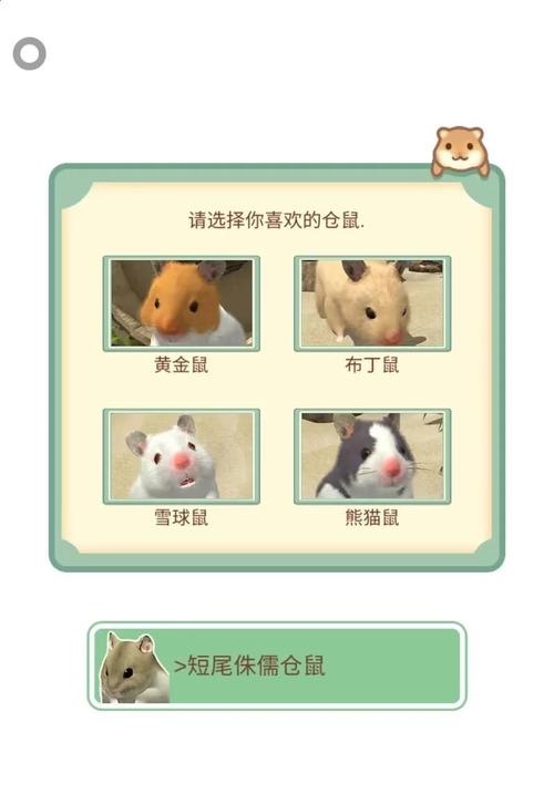 仓鼠热死了还能救活吗缩略图