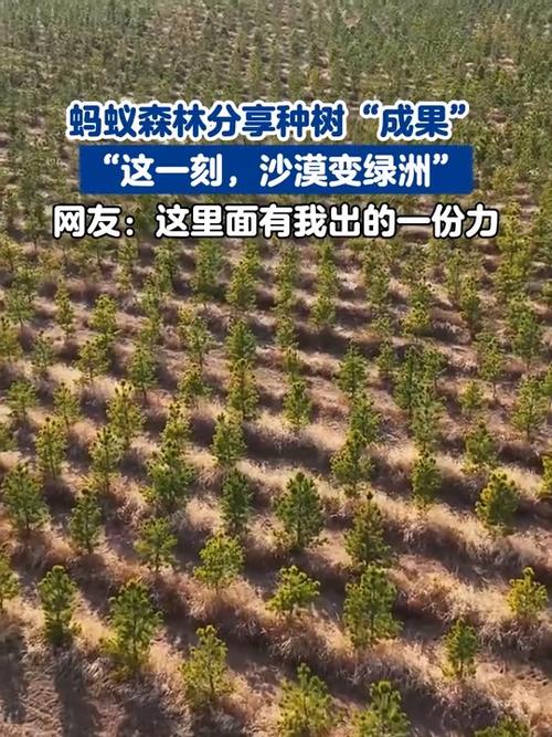 蚂蚁森林为什么可以免费种树缩略图