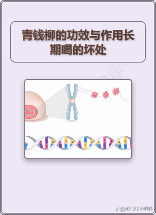 富硒青钱柳的功效与作用图标