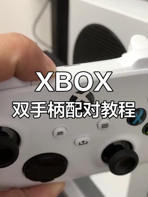 ps4怎么样才能用两个手柄啊图标