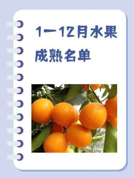 草莓香蕉菠萝蜜丝瓜的功效