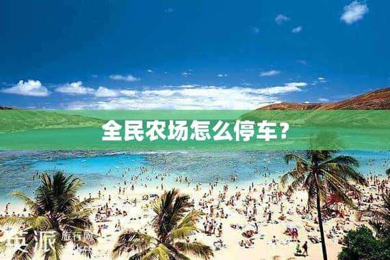全民农场停车场攻略缩略图