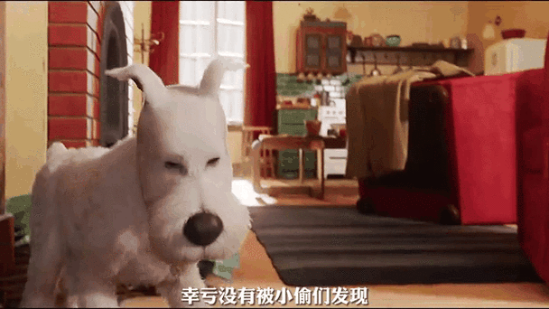 小偷独角兽保险箱密码图标