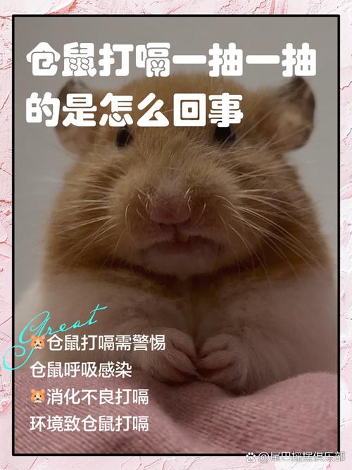 仓鼠一直打嗝会自愈吗图标